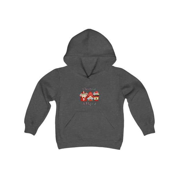 Christmas Gnome Youth Heavy Blend Hooded Sweatshirt