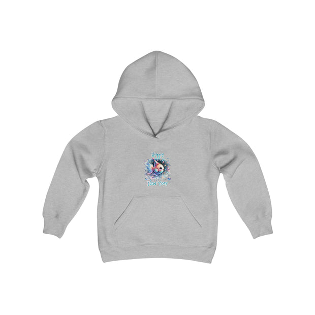 New Year Youth Heavy Blend Hooded Sweatshirt