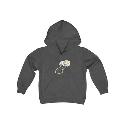 Dream bear Youth Heavy Blend Hooded Sweatshirt