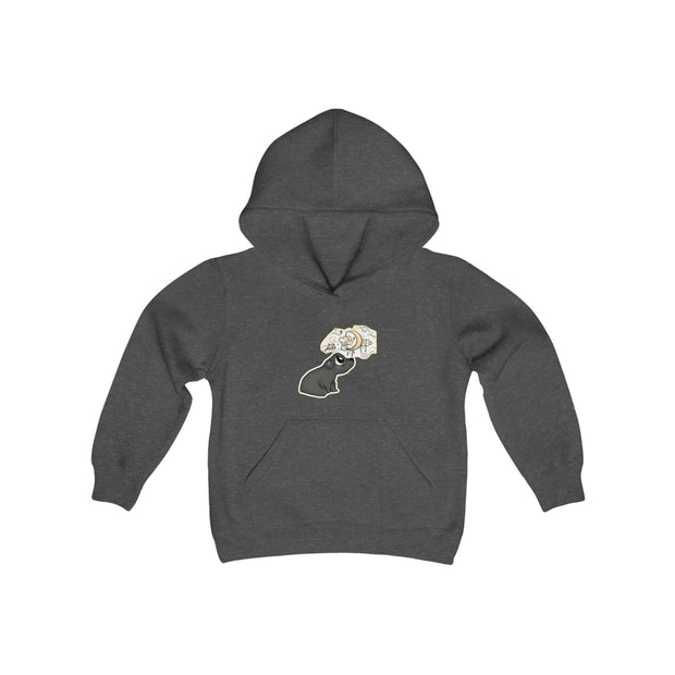 Dream bear Youth Heavy Blend Hooded Sweatshirt
