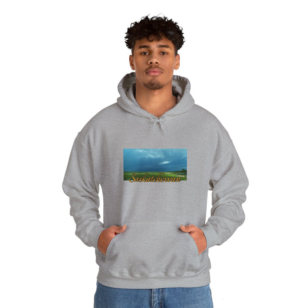 Saskatchewan Skies Unisex Heavy Blend™ Hooded Sweatshirt