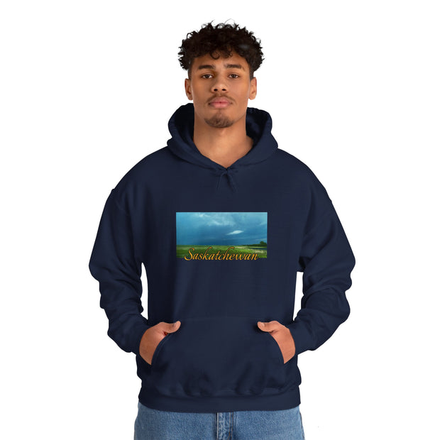 Saskatchewan Skies Unisex Heavy Blend™ Hooded Sweatshirt