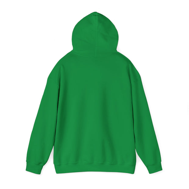 Indigenous Lives Matter Unisex Heavy Blend™ Hooded Sweatshirt
