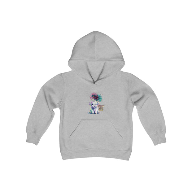 New Year Youth Heavy Blend Hooded Sweatshirt