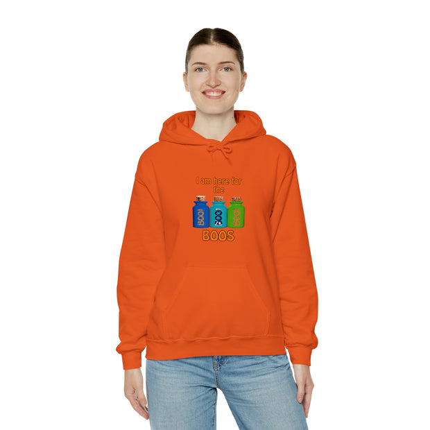 Unisex Heavy Blend™ Hooded Sweatshirt