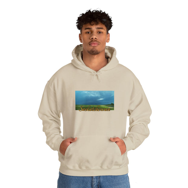 Saskatchewan Skies Unisex Heavy Blend™ Hooded Sweatshirt