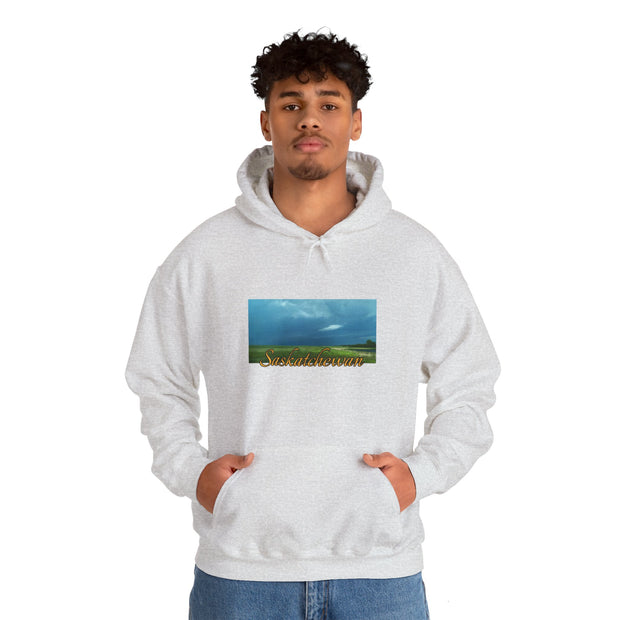 Saskatchewan Skies Unisex Heavy Blend™ Hooded Sweatshirt