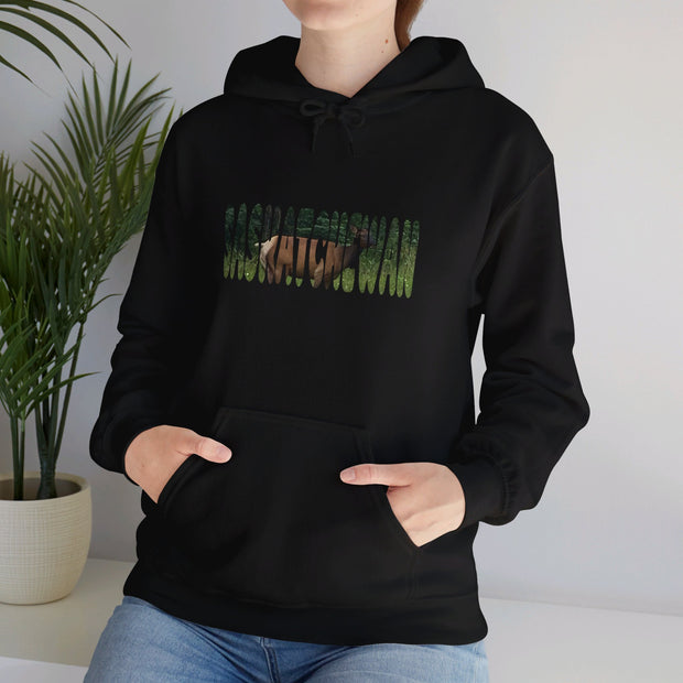 Saskatchewan Unisex Heavy Blend™ Hooded Sweatshirt