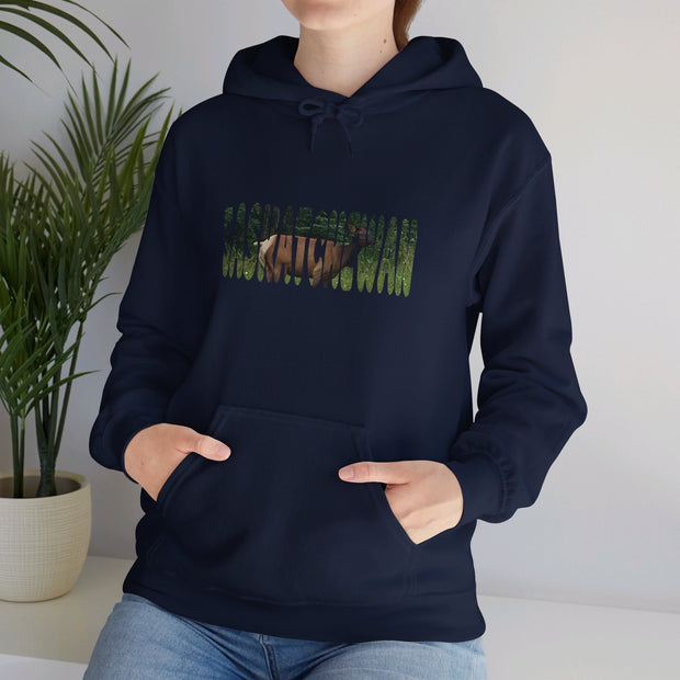 Saskatchewan Unisex Heavy Blend™ Hooded Sweatshirt