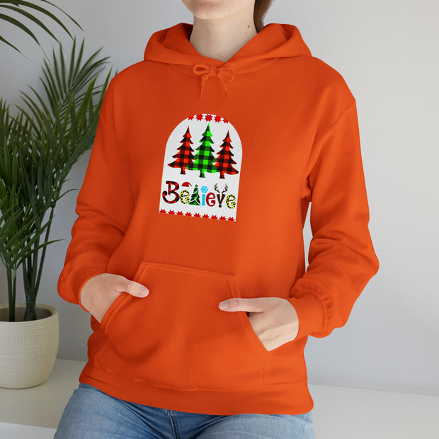 Believe Unisex Heavy Blend™ Hooded Sweatshirt