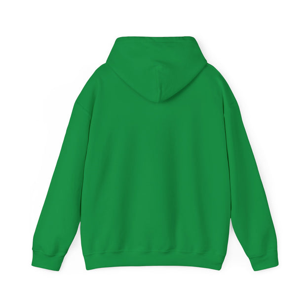 Indigenous Lives Matter Unisex Heavy Blend™ Hooded Sweatshirt