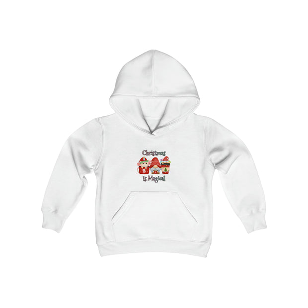 Christmas Gnome Youth Heavy Blend Hooded Sweatshirt