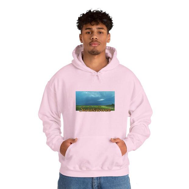 Saskatchewan Skies Unisex Heavy Blend™ Hooded Sweatshirt