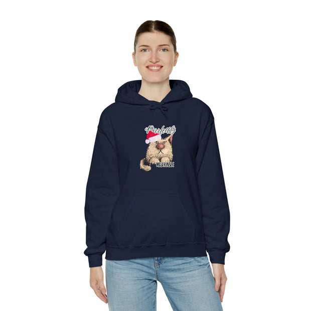 Christmas cat Unisex Heavy Blend™ Hooded Sweatshirt
