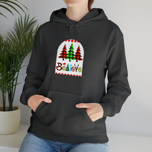 Believe Unisex Heavy Blend™ Hooded Sweatshirt
