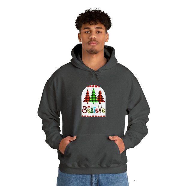 Believe Unisex Heavy Blend™ Hooded Sweatshirt