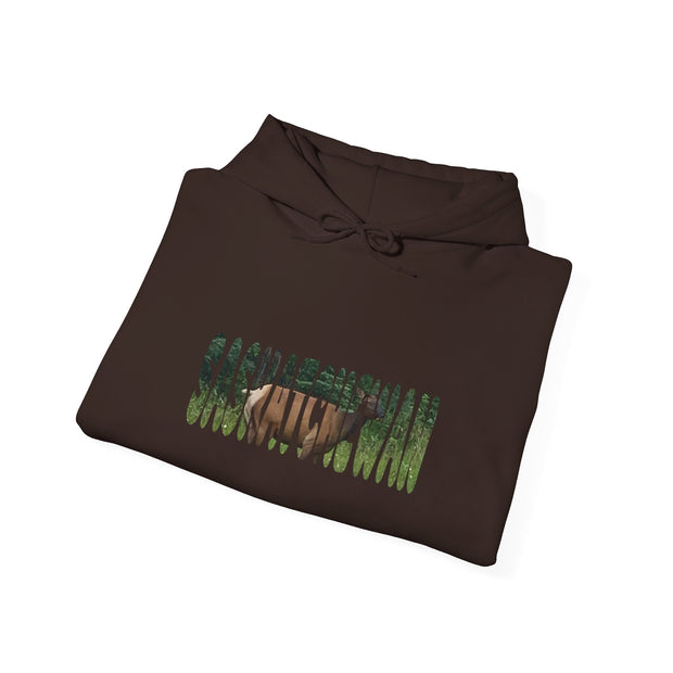 Saskatchewan Unisex Heavy Blend™ Hooded Sweatshirt
