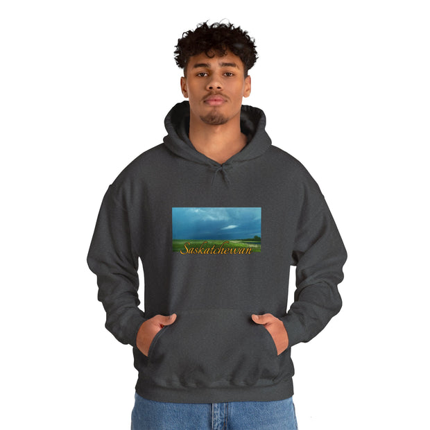 Saskatchewan Skies Unisex Heavy Blend™ Hooded Sweatshirt