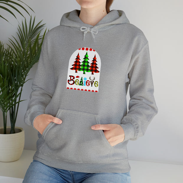 Believe Unisex Heavy Blend™ Hooded Sweatshirt