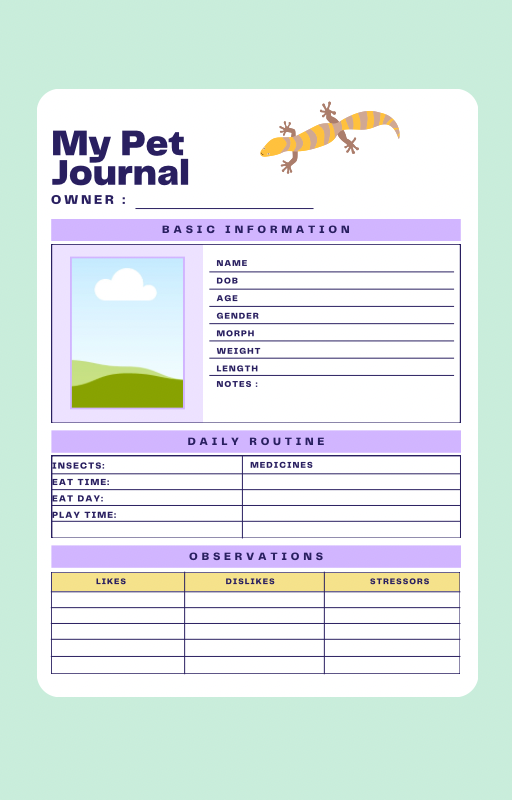 Digital download printable 23 page Leopard Gecko