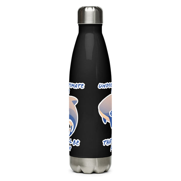 Stainless Steel Water Bottle