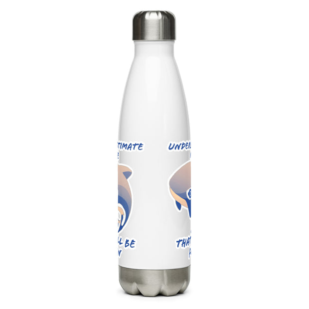 Stainless Steel Water Bottle