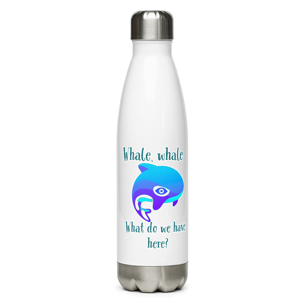 Stainless Steel Water Bottle