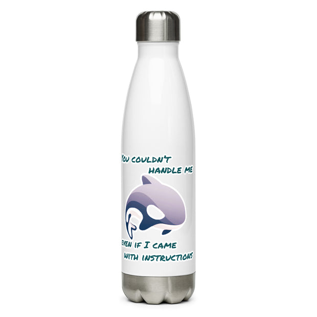 Stainless Steel Water Bottle