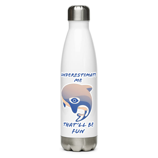 Stainless Steel Water Bottle
