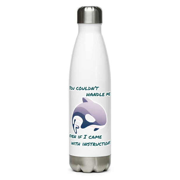 Stainless Steel Water Bottle