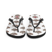 Flip-Flops